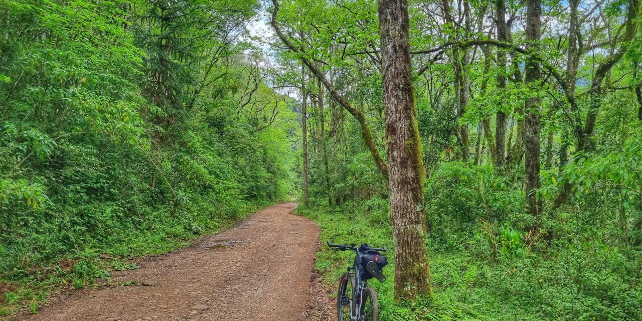 Projeto Tapejara: São Francisco de Paula, Brasil